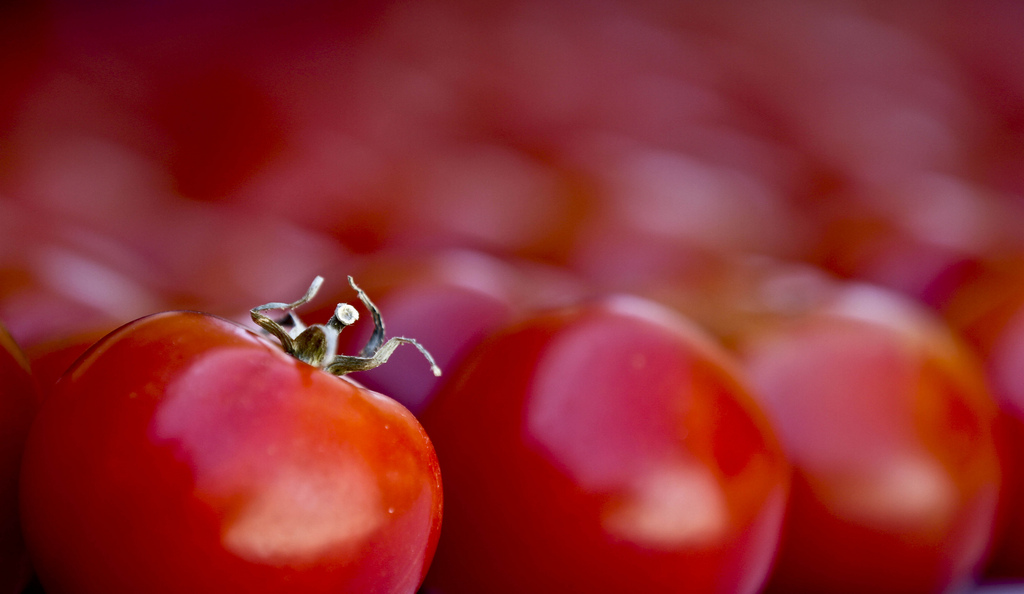 Tomatoes